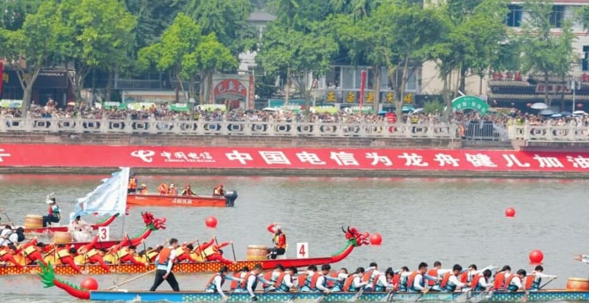 2026年新津天府端午龍舟會現場。新津文旅供圖