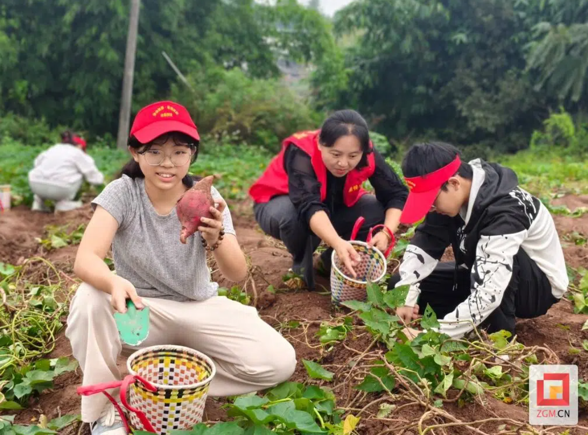 自贡大安举办农耕寻趣·暖心关爱实践活动(图1)