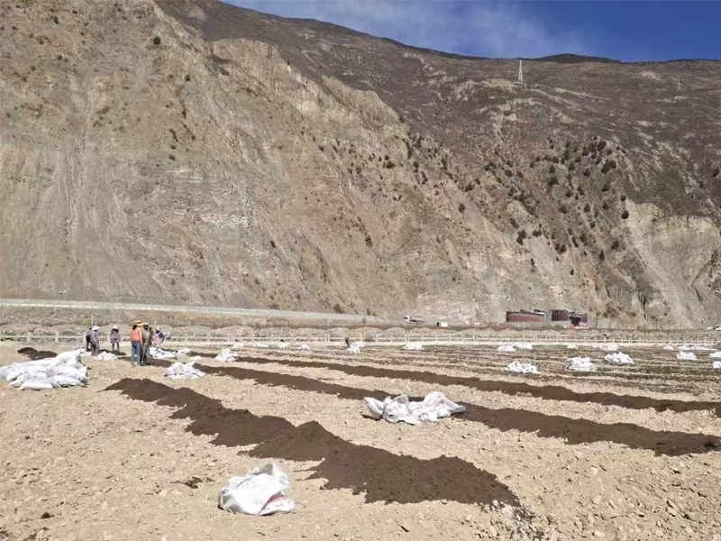 種植地土壤改良工作現場。日爾鄉黨委供圖