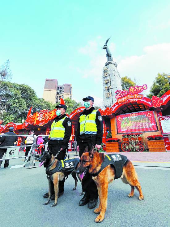 萌犬排行榜_秋天的第一只“萌犬”,哈弗大狗上市