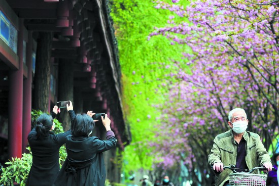 花开成都幸福生活