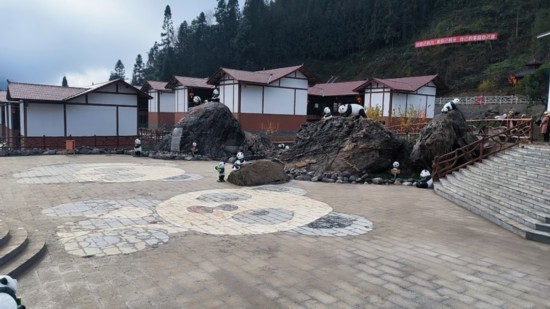 芦山县太平镇大河村木坪子避险搬迁安置点一隅