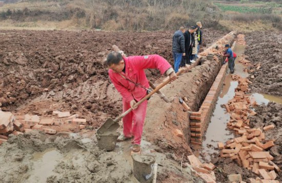 Zigong along the beach: Stable production and expansion without delay in busy farming season