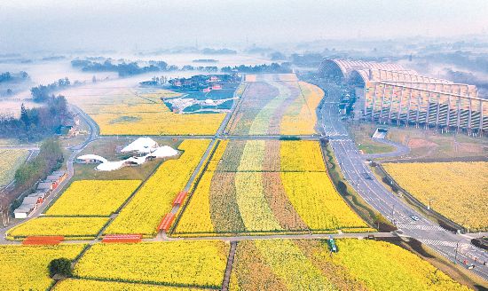 探访成都世园会会场建设进度 今年底全面完