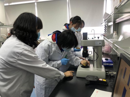 中國—新西蘭獼猴桃“一帶一路”聯合實驗已建成全國首個專注於獼猴桃全產業鏈技術創新的開放式實驗室。受訪者供圖