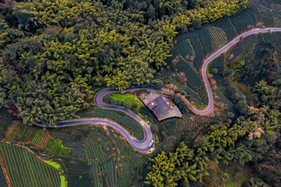 道路基础设施的完善，为雨城区乡村旅游发展蓄能添力