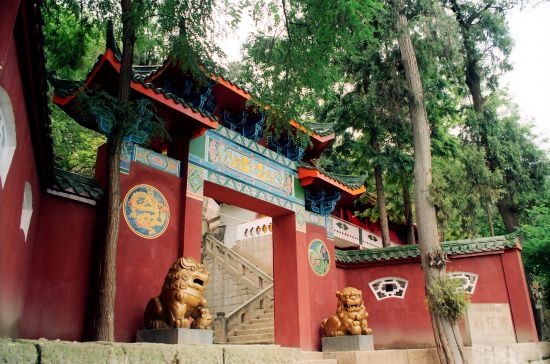 临江古渡遗址——临江寺。苍溪县委宣传部供图