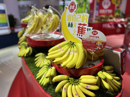 第七届进博会开幕首日，来自厄瓜多尔、墨西哥等地区的香蕉与消费者见面。人民网记者 车柯蒙摄