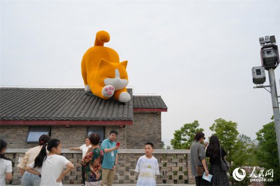橘猫趴在屋顶憨态可掬。人民网 刘汕摄