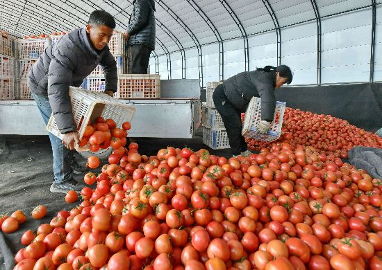 成都春節期間菜籃子供應情況報告：充足安全有保障