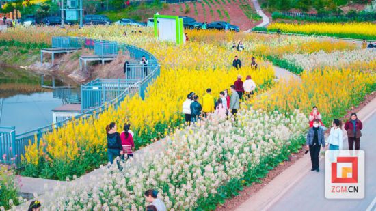 最絢爛的賞花時節 記者 宋姿熠 攝