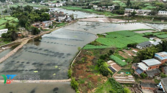 抢占今春“第一笼”鲜香！沿滩镇800亩优质稻虾将于4月初规模上市(图1)